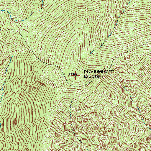 Topographic Map of No-see-um Butte, ID