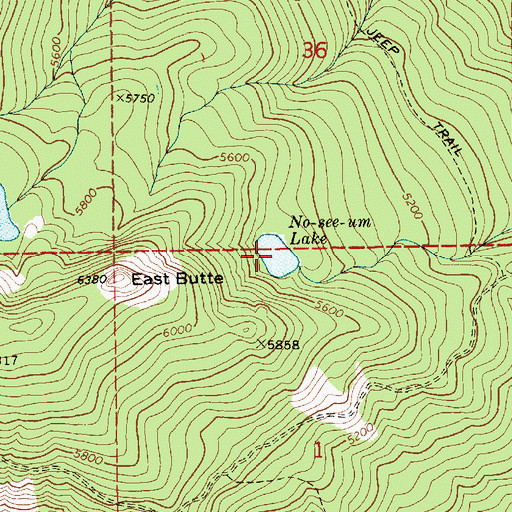 Topographic Map of Noseeum Lake, ID