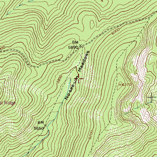 Topographic Map of No-see-um Meadows, ID
