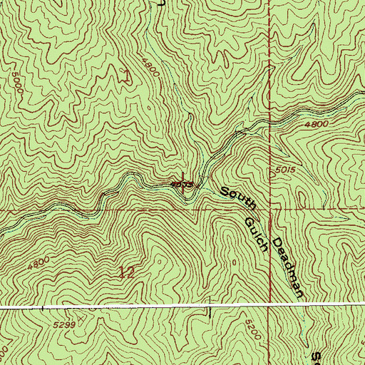 Topographic Map of North Deadman Gulch, ID
