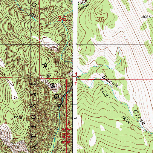 Topographic Map of North Fork Bacon Creek, ID
