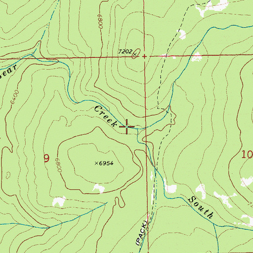 Topographic Map of North Fork Bear Creek, ID