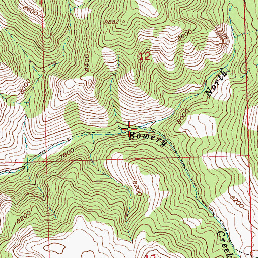 Topographic Map of North Fork Bowery Creek, ID