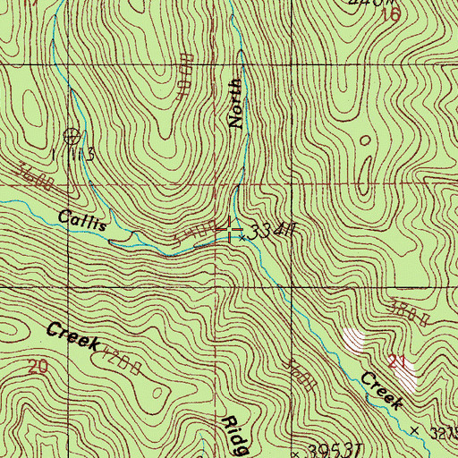 Topographic Map of North Fork Callis Creek, ID