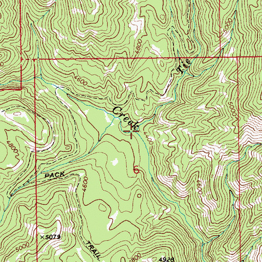 Topographic Map of North Fork Fitsum Creek, ID