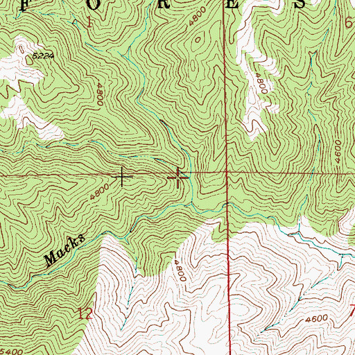 Topographic Map of North Fork Macks Creek, ID