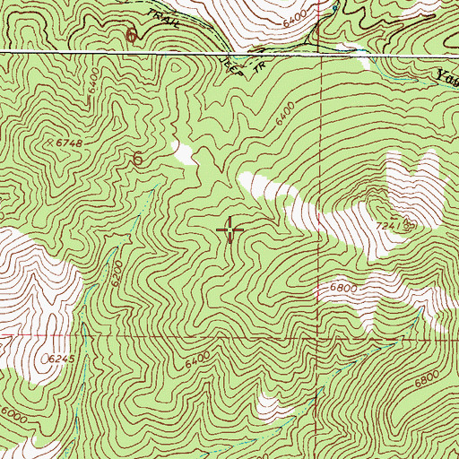 Topographic Map of North Fork Reed Canyon, ID