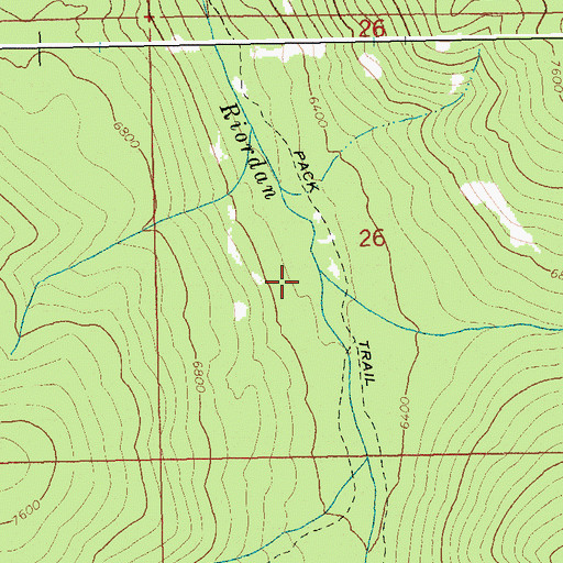 Topographic Map of North Fork Riordan Creek, ID