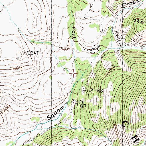 Topographic Map of North Fork Squaw Creek, ID