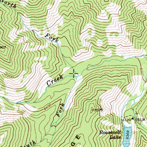 Topographic Map of North Fork Trap Creek, ID