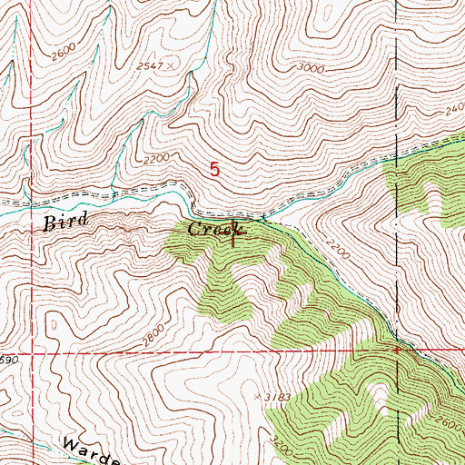 Topographic Map of North Fork White Bird Creek, ID