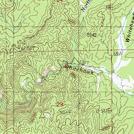 Topographic Map of North Fork Whitehawk Creek, ID