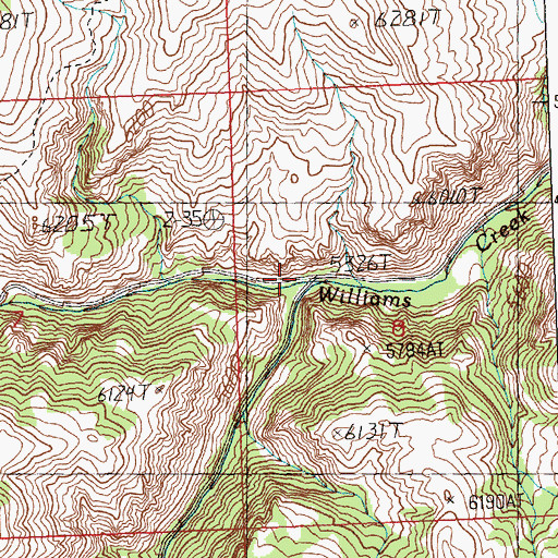 Topographic Map of North Fork Williams Creek, ID