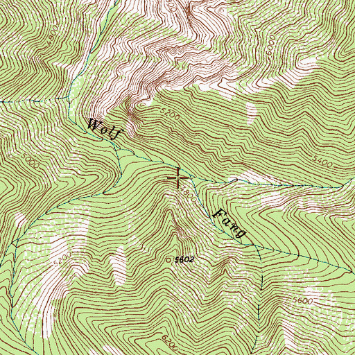 Topographic Map of North Fork Wolf Fang Creek, ID