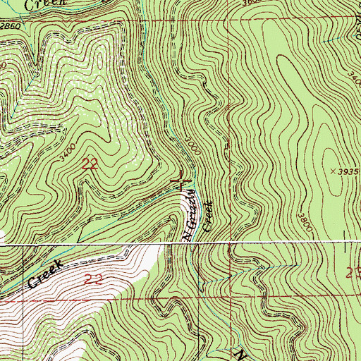 Topographic Map of North Grizzly Creek, ID