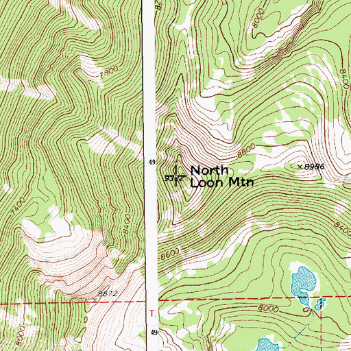 Topographic Map of North Loon Mountain, ID