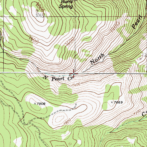 Topographic Map of North Pearl Creek, ID