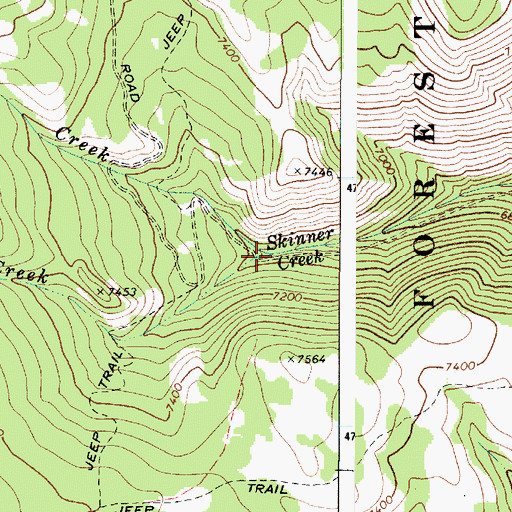 Topographic Map of North Skinner Creek, ID