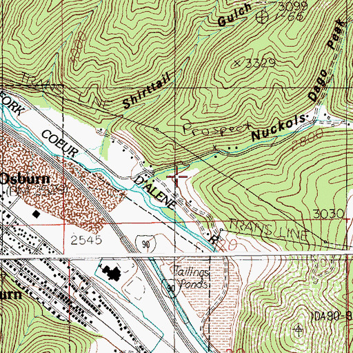 Topographic Map of Nuckois Gulch, ID