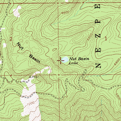 Topographic Map of Nut Basin Lake, ID