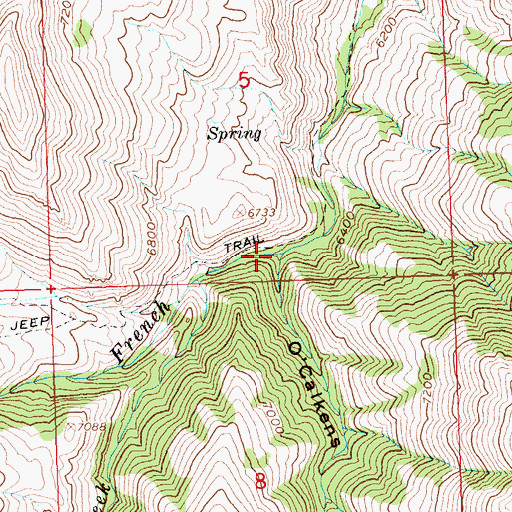 Topographic Map of Calkins Gulch, ID
