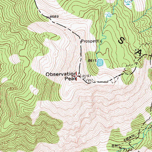 Topographic Map of Observation Peak, ID