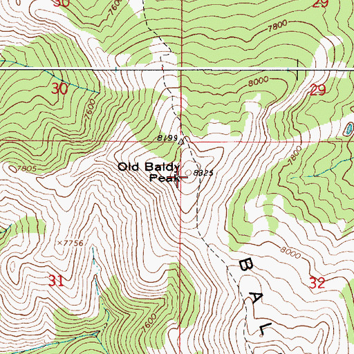 Topographic Map of Old Baldy Peak, ID
