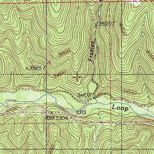 Topographic Map of Old North Star Mine, ID