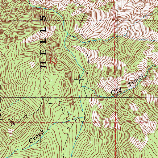 Topographic Map of Old Timer Creek, ID