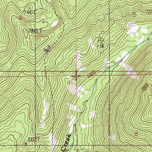 Topographic Map of Onion Valley Trail (historical), ID