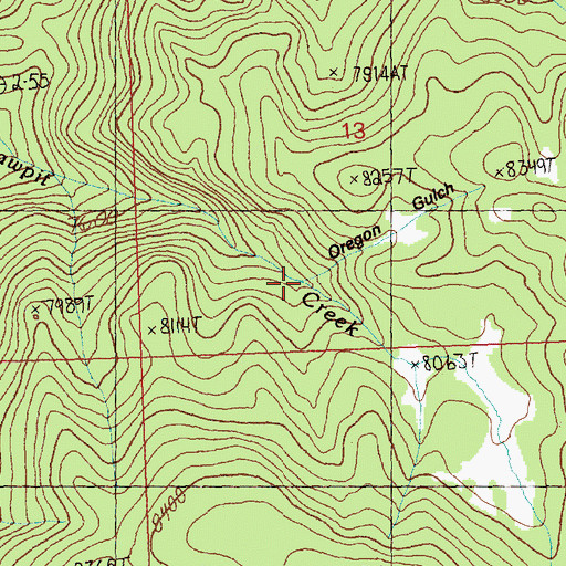 Topographic Map of Oregon Gulch, ID