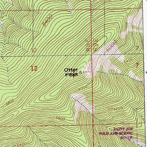 Topographic Map of Otter Peak, ID