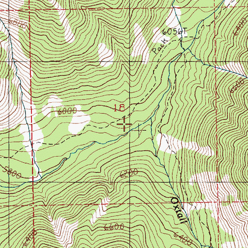 Topographic Map of Oxtail Creek, ID