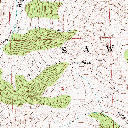 Topographic Map of P K Pass, ID