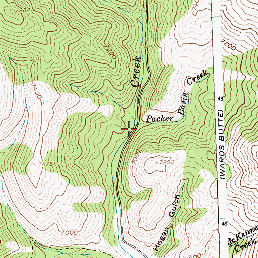 Topographic Map of Packer Basin Creek, ID