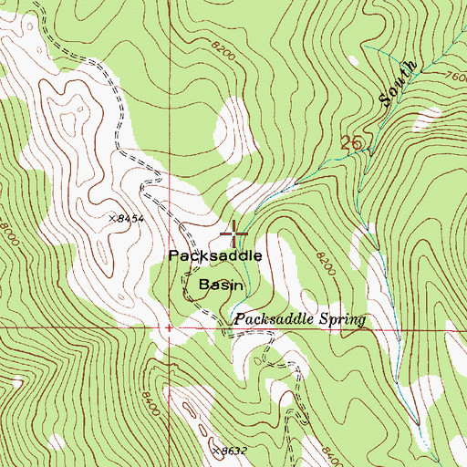 Topographic Map of Packsaddle Basin, ID