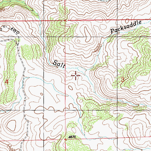 Topographic Map of Packsaddle Creek, ID