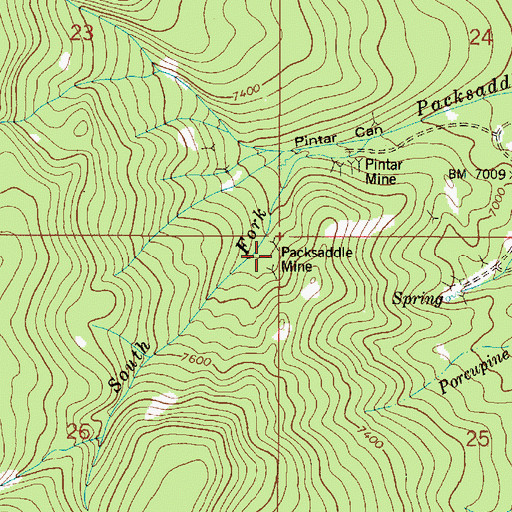 Topographic Map of Packsaddle Mine, ID