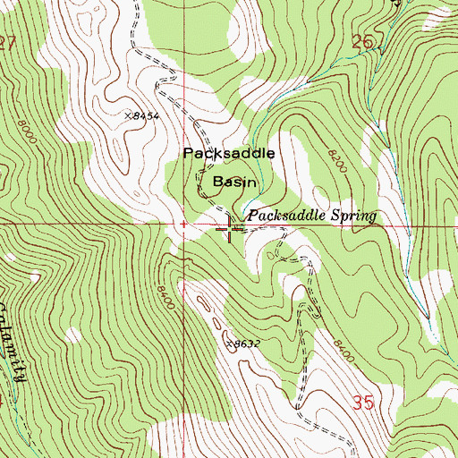 Topographic Map of Packsaddle Spring, ID