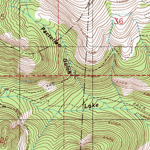 Topographic Map of Pactolian Gulch, ID