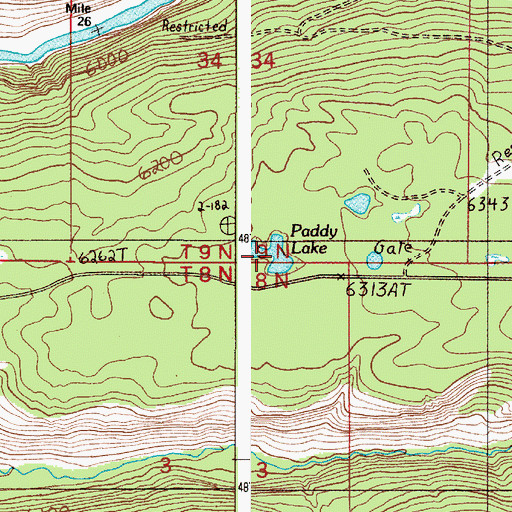 Topographic Map of Paddy Lake, ID