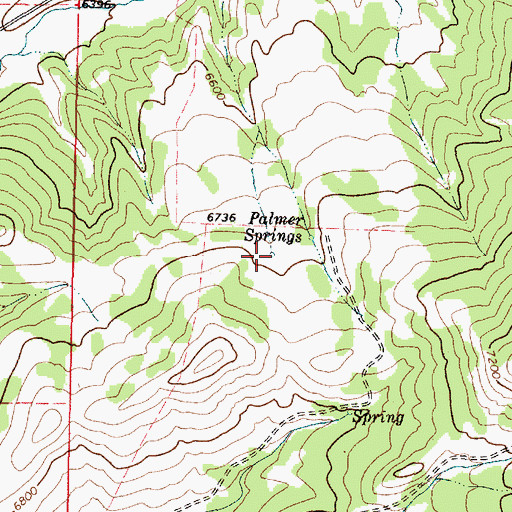 Topographic Map of Palmer Springs, ID