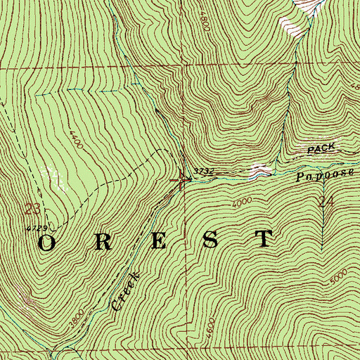 Topographic Map of Papoose Creek, ID