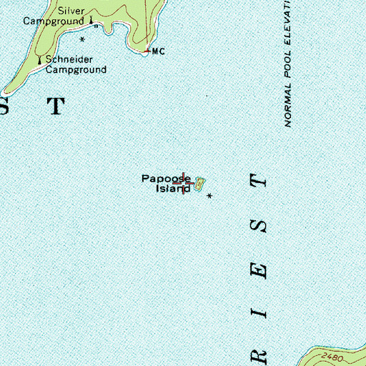 Topographic Map of Papoose Island, ID