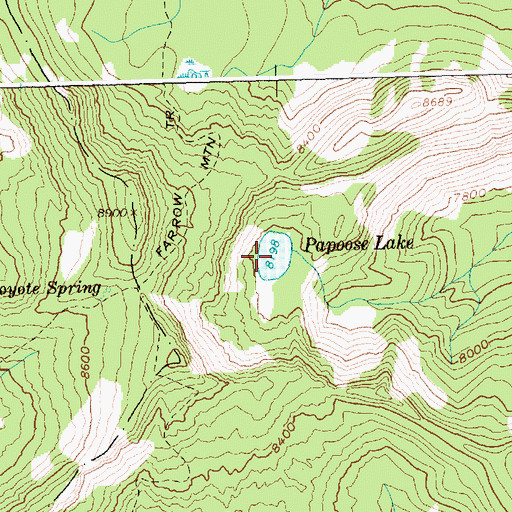 Topographic Map of Papoose Lake, ID