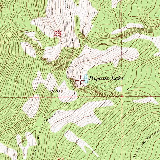 Topographic Map of Papoose Lake, ID