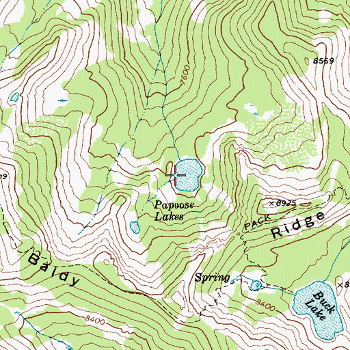 Topographic Map of Papoose Lakes, ID
