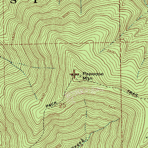 Topographic Map of Papoose Mountain, ID