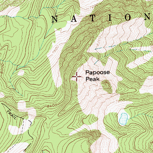 Topographic Map of Papoose Peak, ID