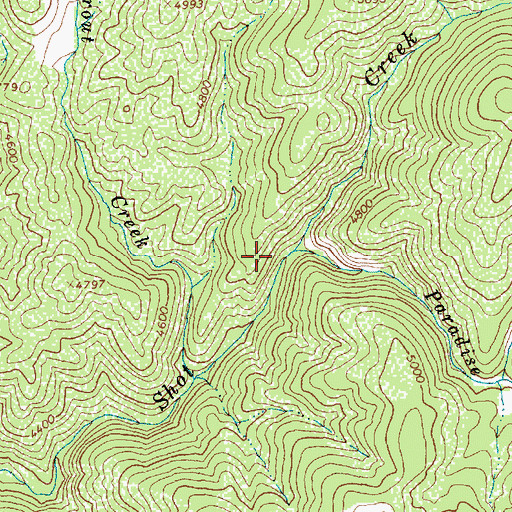 Topographic Map of Paradise Creek, ID